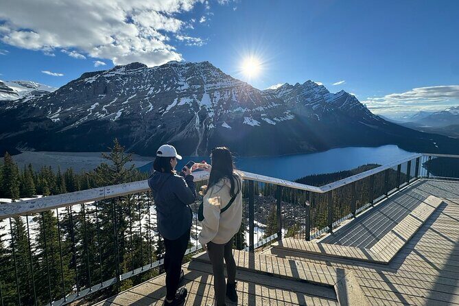 Lake Louise Peyto Lake Bow Lake Crowfoot Glacier Half Day Tour - Key Points
