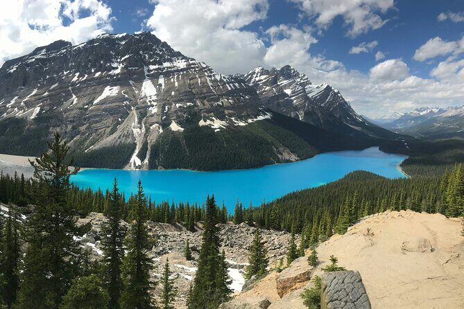 Lake Louise Peyto Lake Bow Lake Crowfoot Glacier Half Day Tour - Analyzing the Value: Price, Inclusions, and Experience
