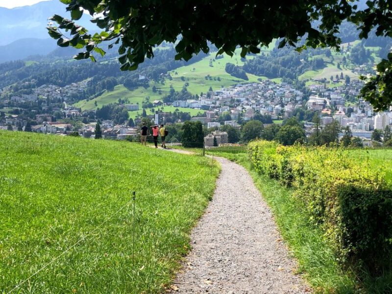 Lake Lucerne Half-day Countryside Walk - Highlights of the Walk