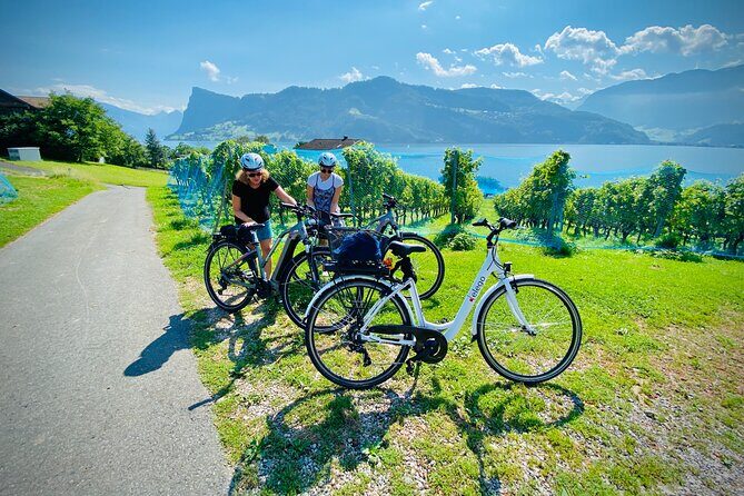 Lake Lucerne Peninsula e-Bike Tour - The Value of This Tour