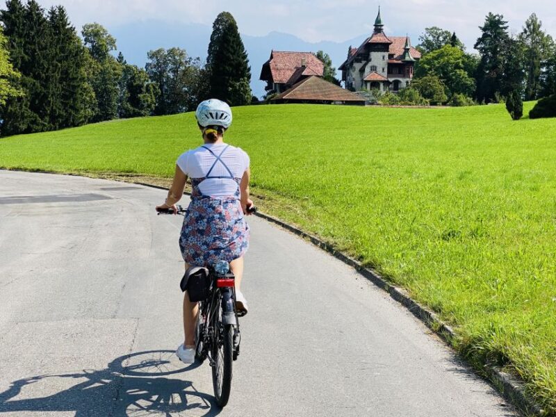Lake Lucerne Peninsula E-Bike Tour - Customer Feedback