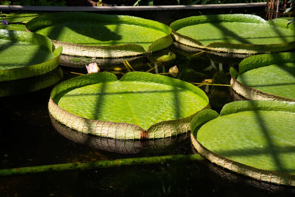 Lake Maggiore Art and Gardens - Entry to Villa Taranto Gardens
