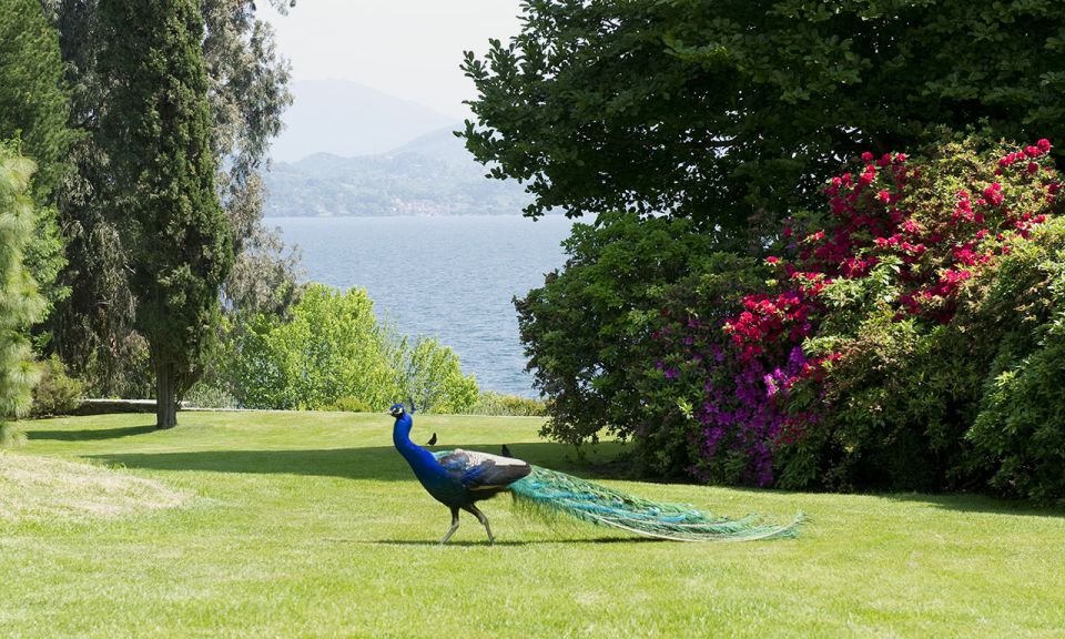 Lake Maggiore: Borromean Islands Tickets With Boat Transfer - Key Points