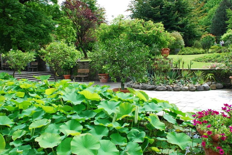 Lake Maggiore Gourmet: Gardens, Lake Cruise, & Food Tasting - Gourmet Food & Wine Tasting at La Casera