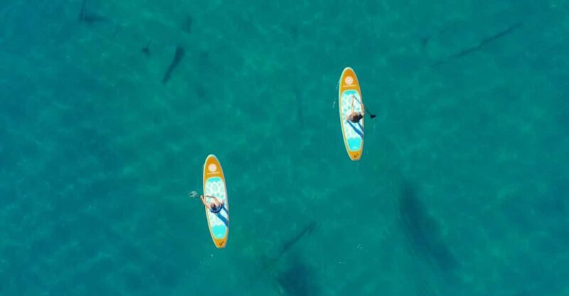 Lake Mead: Paddle Board Rental - The Itinerary Breakdown