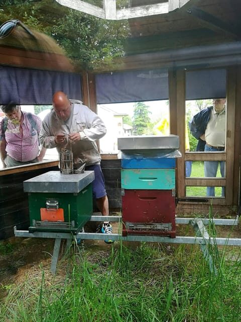 Lake Molveno Honey and Liqueur Tastings - The Sum Up