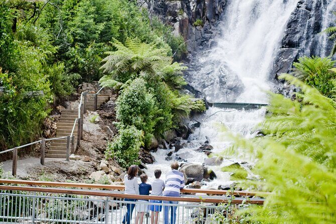 Lake Mountain Snow play and Steavenson Falls from Melburne - Who Is This Tour Best For?