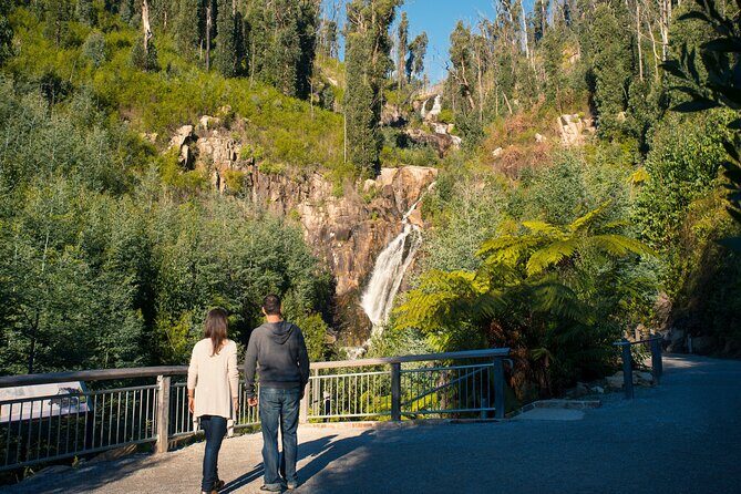 Lake Mountain Snow play and Steavenson Falls from Melburne - The Sum Up: The Bottom Line