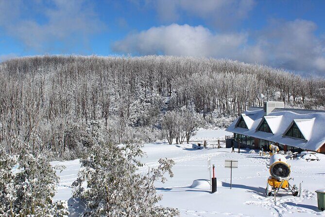 Lake Mountain Snow Private Tour from Melbourne - Who Will Love This Tour?