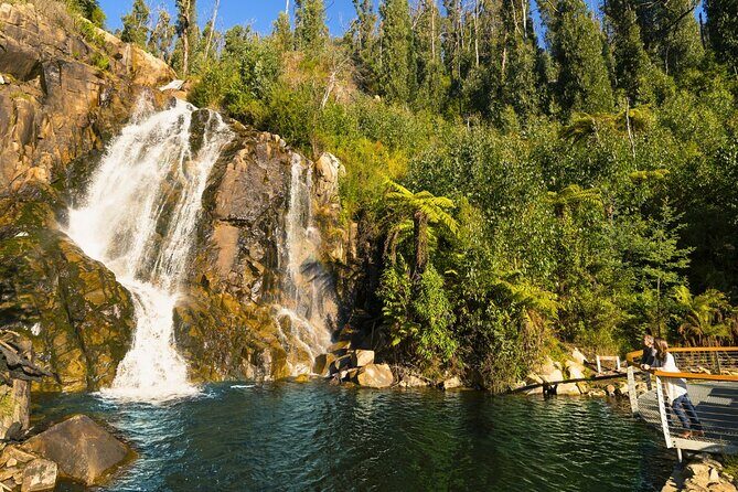 Lake Mountain Snow Tour - The Value for Money