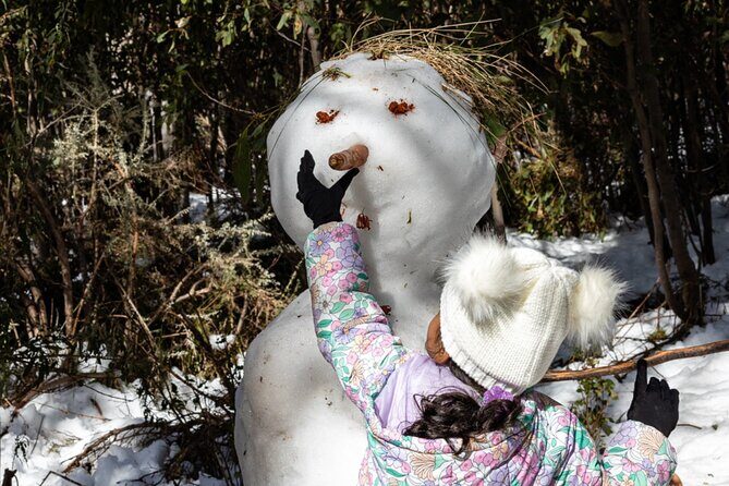 Lake Mountain Snow Tour - Who Will Love This Tour?