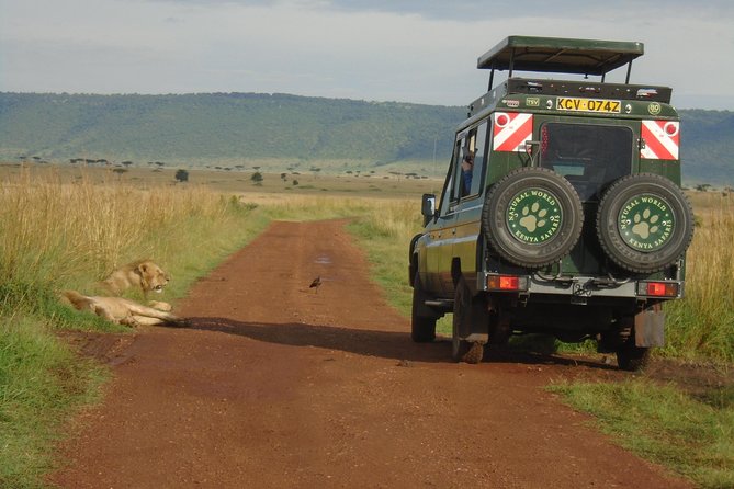 Lake Nakuru, Naivasha & Masai Mara 4 Days Private Jeep Safari - Accommodation and Meals