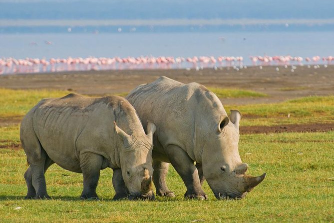 Lake Nakuru National Park Day Tour From Nairobi - Inclusions and Pricing Details