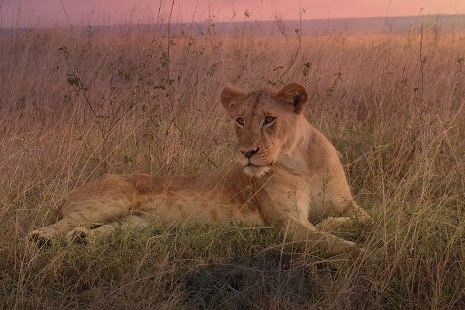 Lake Nakuru National Park Day Tour From Nairobi - Frequently Asked Questions