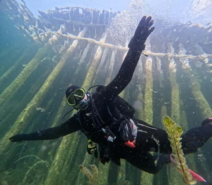 Lake Ohrid: Try Diving at the Bay of the Bones - An In-Depth Look at the Lake Ohrid Diving Experience