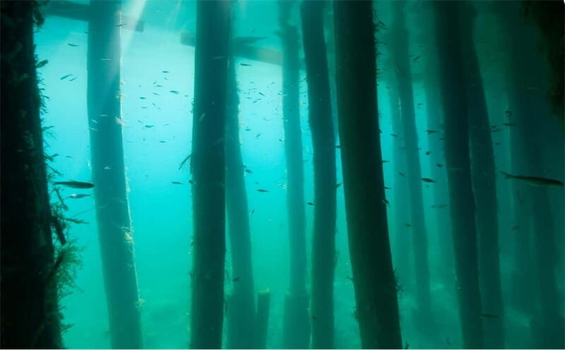 Lake Ohrid: Try Diving at the Bay of the Bones - FAQs