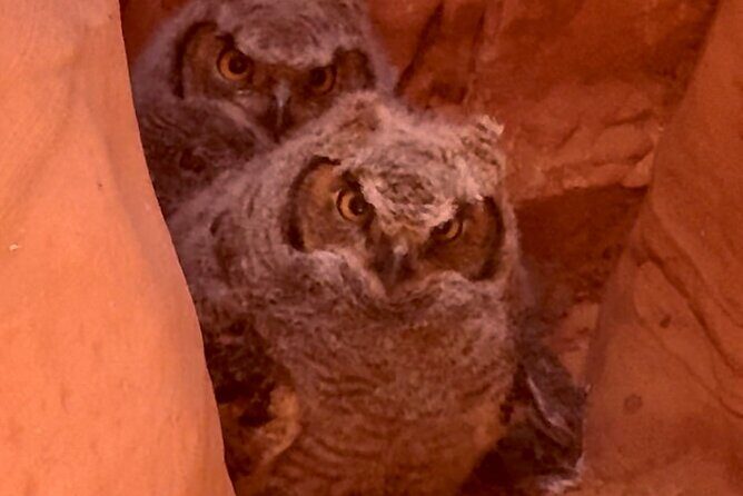 Lake Powell Kayak and Water Antelope Canyon Hike Guided Tour - Authentic Experiences from Other Travelers