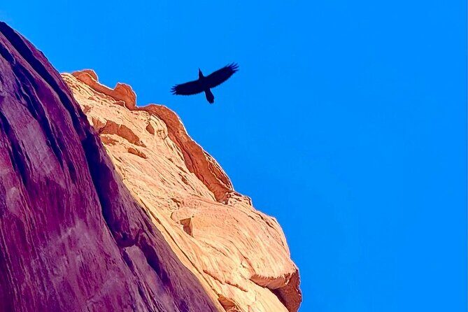 Lake Powell Kayak and Water Antelope Canyon Hike Guided Tour - Who Is This Tour Best For?