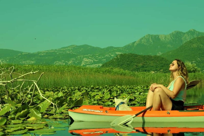 Lake Skadar: from Budva, Kotor, Tivat - Lake Skadar: From Budva, Kotor, Tivat — a Practical Guide to an Enchanting Day Trip
