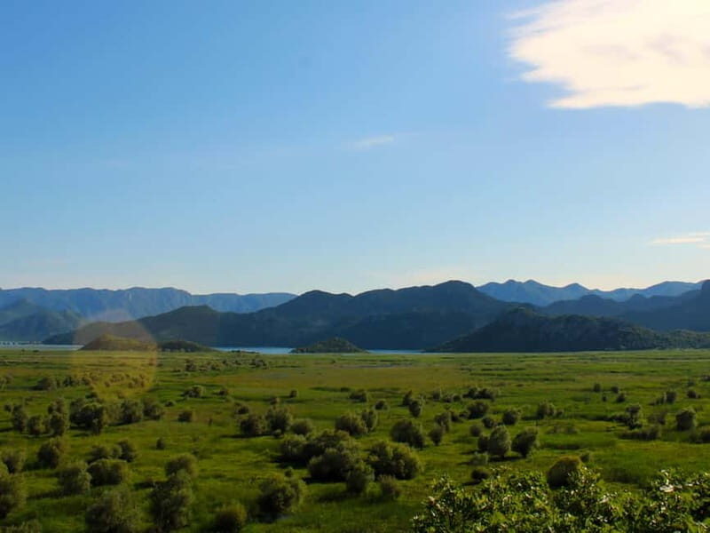 Lake Skadar: Guided Panoramic Boat Tour to Kom Monastery - Water Lilies & Island Wonders