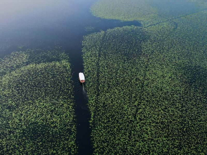 Lake Skadar: Guided Panoramic Boat Tour to Kom Monastery - Water & Relaxation: Swimming & Refreshments