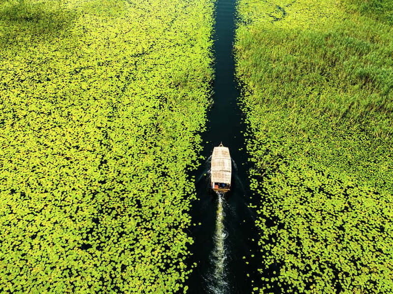 Lake Skadar: Guided Sightseeing Boat Tour with Drinks - Key Points