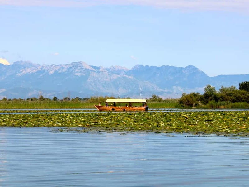 Lake Skadar: Guided Sightseeing Boat Tour with Drinks - An Honest Breakdown of What to Expect