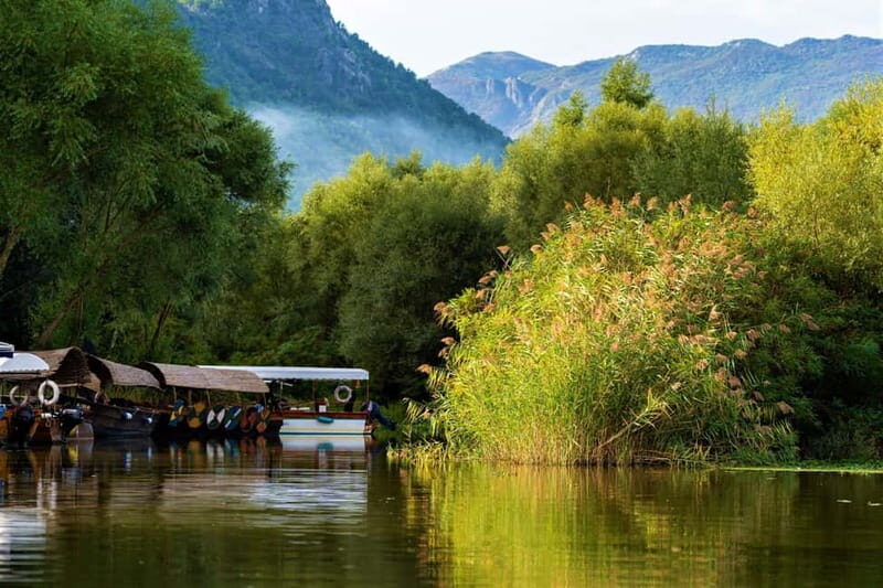 Lake Skadar: Visit the Montenegrin Venice - FAQs