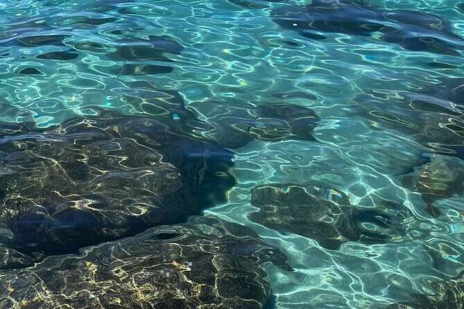Lake Tahoe Clear Kayak Adventure at Sand Harbor - Who Will Love This Tour?