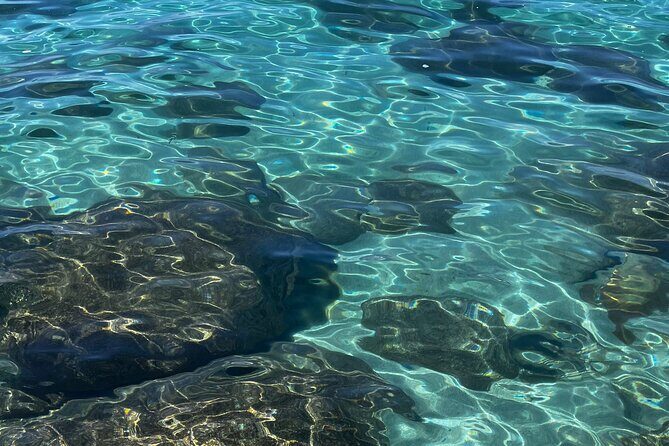 Lake Tahoe Clear Kayak Adventure at Stateline Nevada - Experience Details and What to Expect