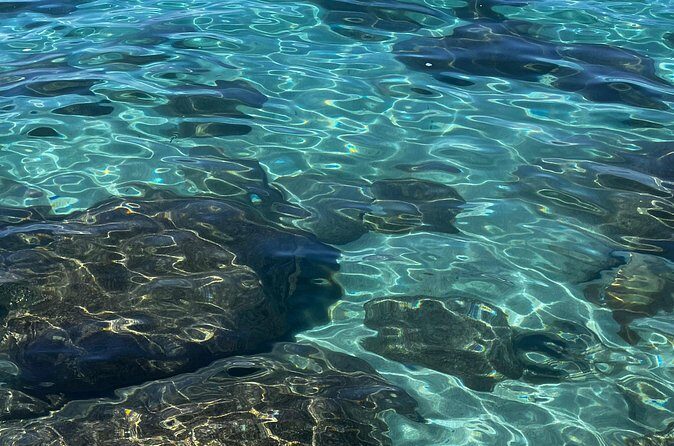 Lake Tahoe Clear Kayak Adventure at Stateline Nevada - Who Will Love This Experience?