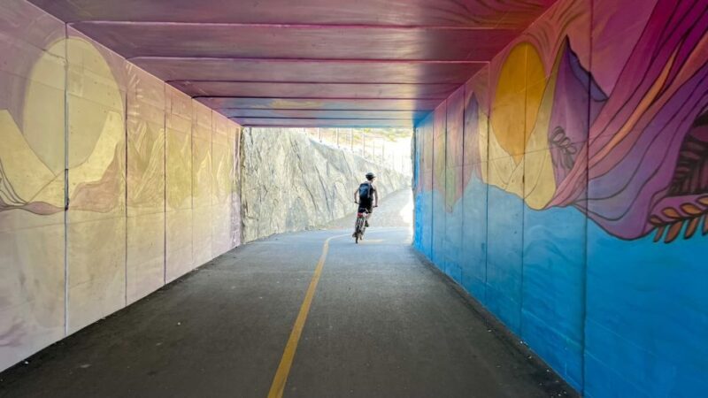 Lake Tahoe: Electric Bike Rental - A Close Look at the Lake Tahoe Electric Bike Rental Experience