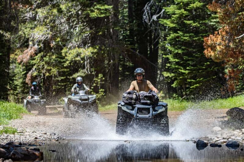 Lake Tahoe: Rubicon Trail Guided Off Road ATV Tour - A Closer Look at the Itinerary