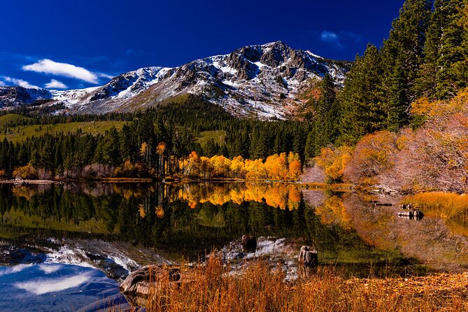 Lake Tahoe Small-Group Photography Scenic Half-Day Tour - Meeting Point Details