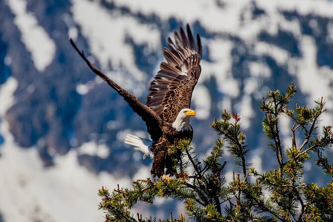 Lake Tahoe Small-Group Photography Scenic Half-Day Tour - Start Time