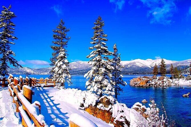 Lake Tahoe Small Group Tour from San Jose - Authentic Experiences and Traveler Feedback