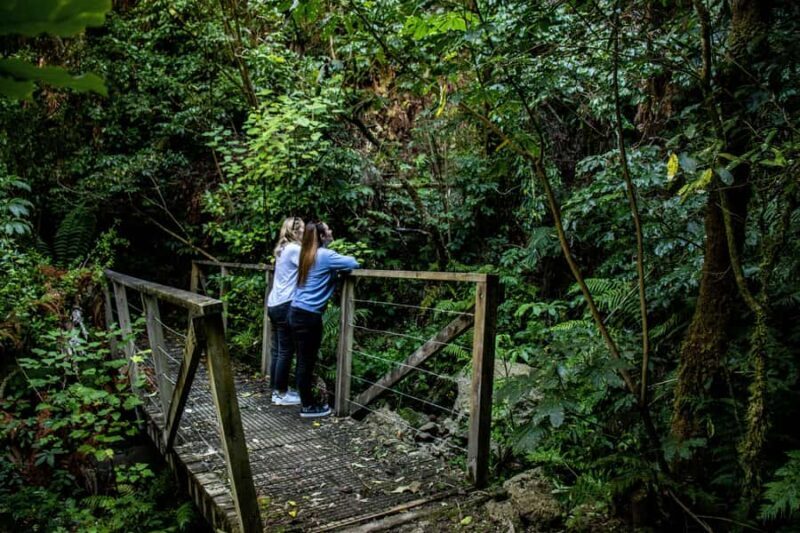 Lake Taupo Explorer Sightseeing Cruise with seasonal swim - FAQ