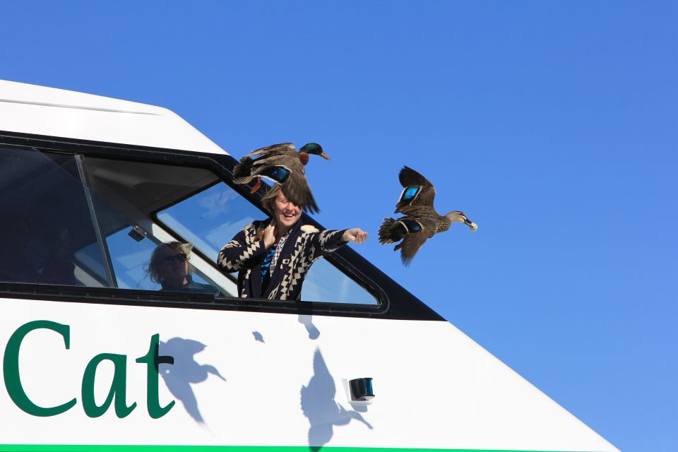 Lake Taupo: Maori Rock Carvings 10.30 AM 1.5-Hour Cruise - Language and Accessibility