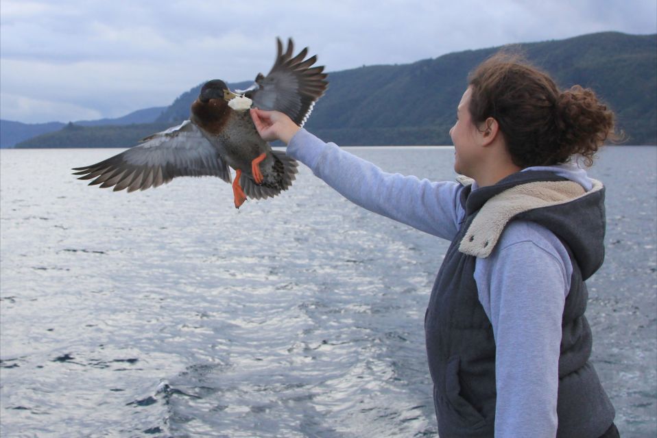 Lake Taupo: Maori Rock Carvings 10.30 AM 1.5-Hour Cruise - Important Reminders