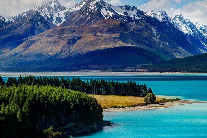 Lake tekapo & Mt. Cook Private tour from Christchurch - Key Points