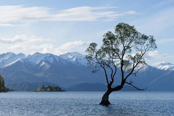 Lake Tekapo Private Day Trip from Queenstown - Key Points