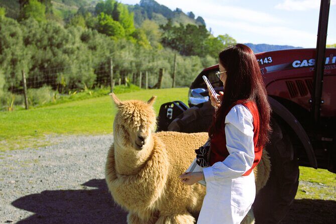 Lake Tekapo Stargazing & Mount Cook 2-Day Tour from Christchurch - The Experience’s Strengths and Limitations