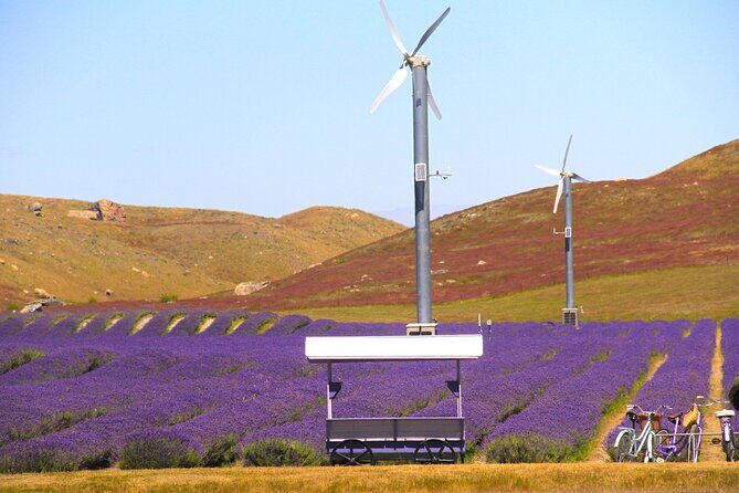 Lake Tekapo Stargazing & Mount Cook 2-Day Tour from Christchurch - Final Thoughts