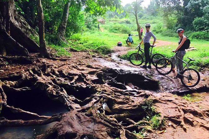 Lake Victoria Island Cycling Tour From Kampala - Scenic Ferry Ride Across Lake Victoria