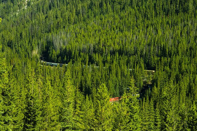 Lake View Full Day Tour-Moraine Lake, Lake Louise and Emerald - Reviews and Ratings