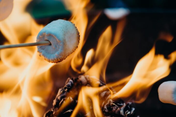 Lake Walk and Campfire Private Tour - Customer Feedback