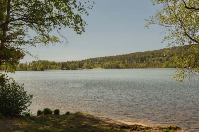Lake Walk and Campfire Private Tour - Tips for Your Tour