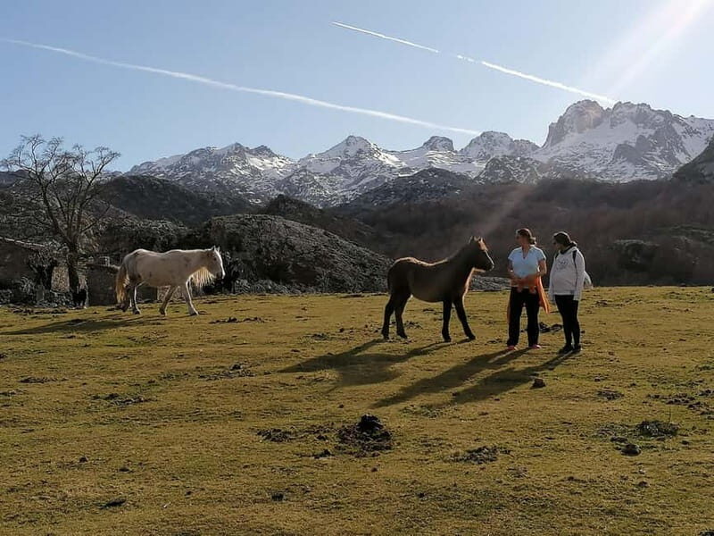 Lakes of Covadonga and Sanctuary of Covadonga: Guided and interpreted tour - An In-Depth Exploration of the Covadonga Lakes and Sanctuary Tour