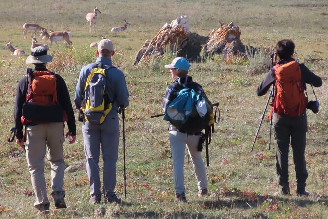 Lamar Valley Safari Hiking Tour With Lunch - Important Health and Fitness Information