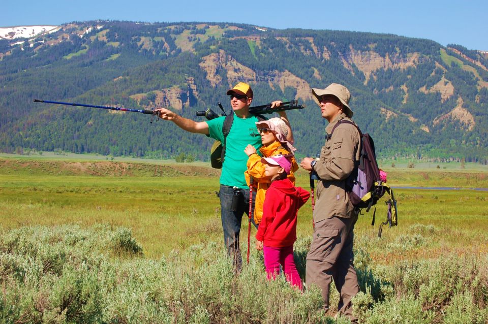Lamar Valley: Safari Hiking Tour With Lunch - Included Activities and Gear